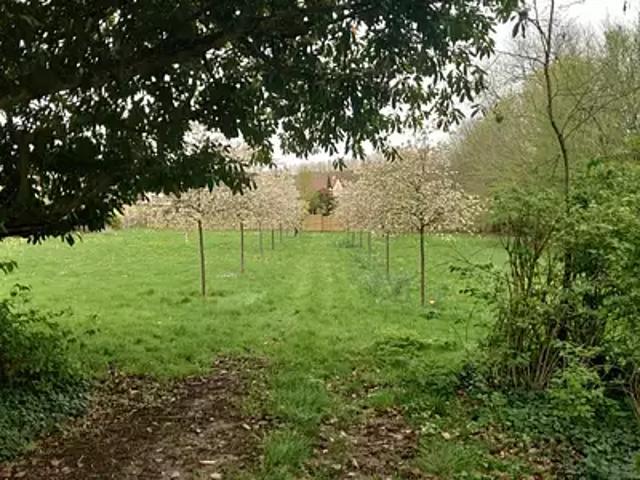 Achat maisons Saint Rémy lès Chevreuse 6 pièces