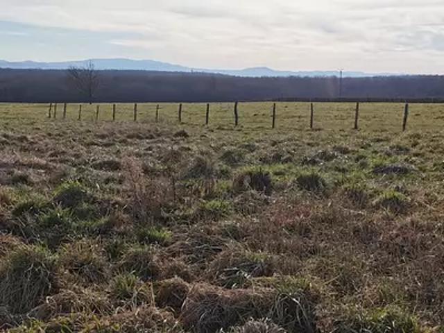 Achat maisons Saint Sylvestre Pragoulin 5 pièces