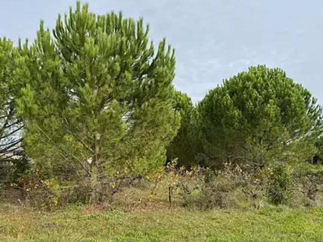 Achat maisons Saint Victor la Coste 4 pièces