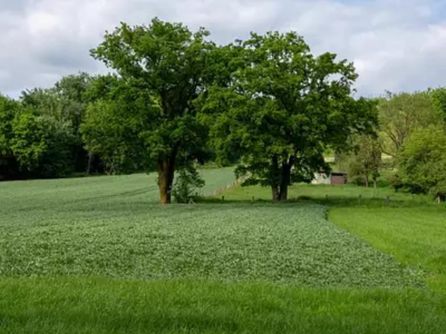 Achat maisons Saint Vivien de Blaye 5 pièces