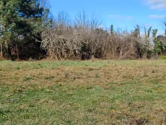 Achat maisons Salleboeuf 4 pièces