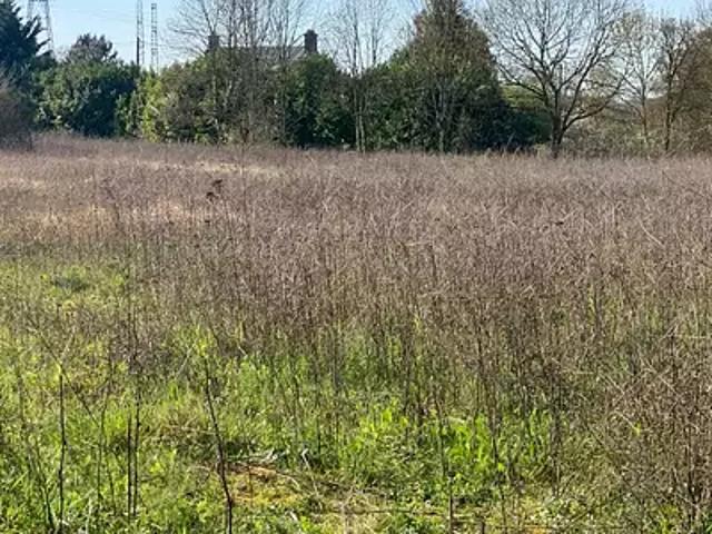 Achat maisons Sarnois 5 pièces