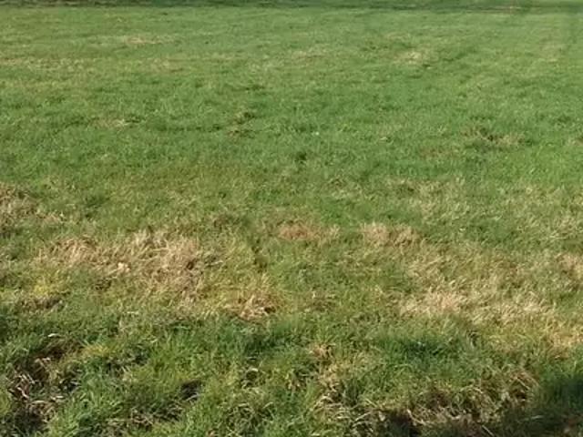 Achat maisons Sarceaux 4 pièces