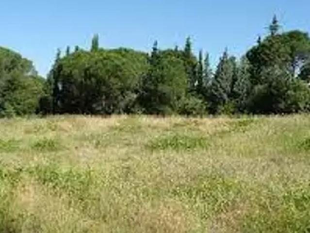 Achat maisons Savigny en Véron 5 pièces