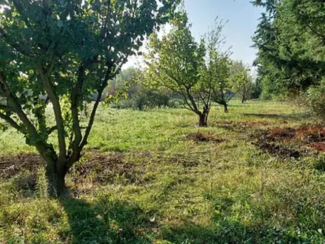 Achat maisons Sénas 5 pièces