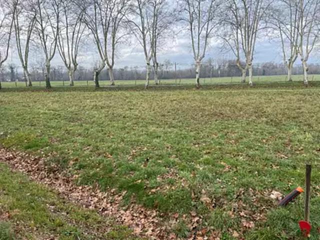 Achat maisons Soual 5 pièces
