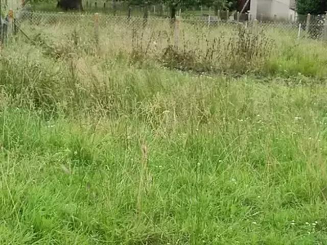 Achat maisons Talmontiers 5 pièces