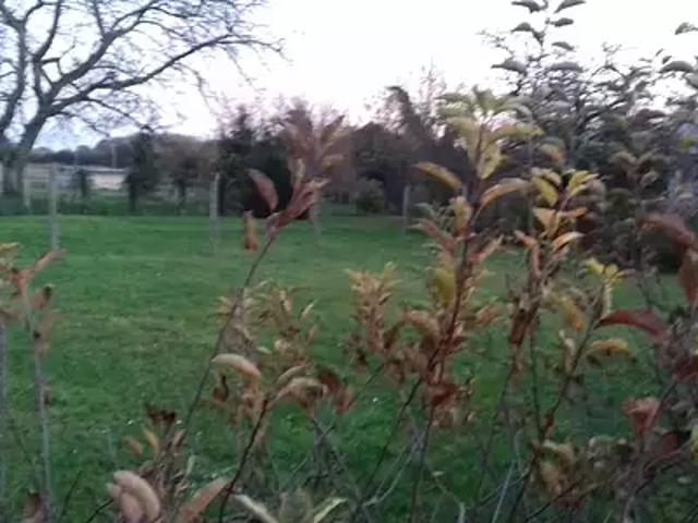 Achat maisons Ury 5 pièces