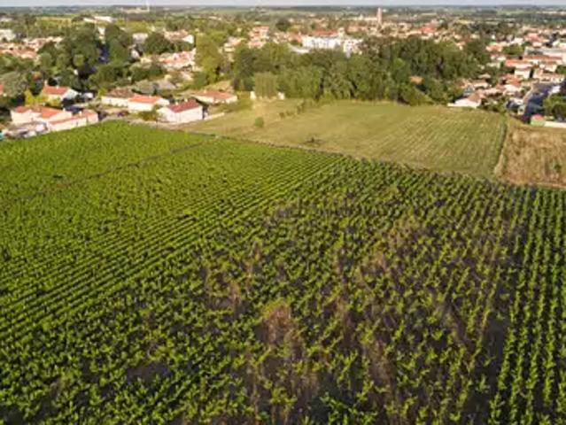Achat maisons Vallet 5 pièces