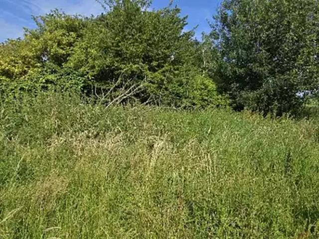 Achat maisons Vattetot sur Mer 6 pièces