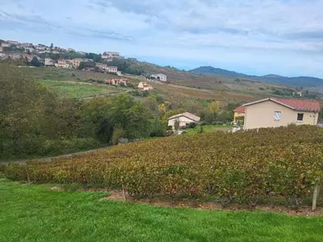 Achat maisons Vaux en Beaujolais 5 pièces