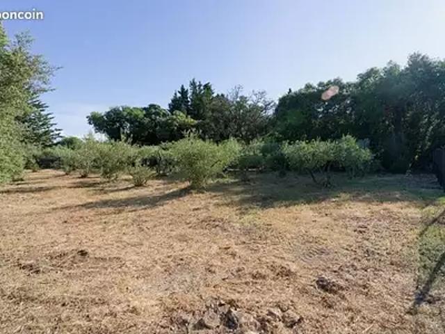 Achat maisons Villevieille 4 pièces