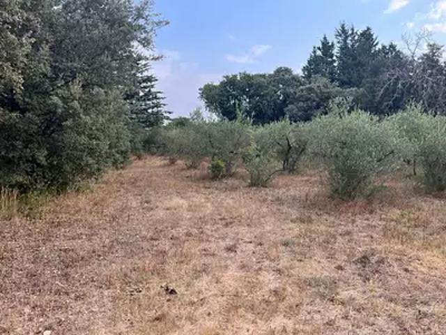 Achat maisons Villevieille 6 pièces