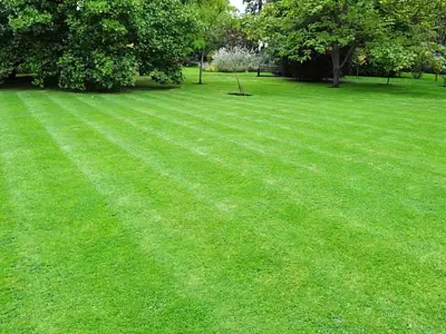 Achat maisons Vitry en Artois 4 pièces