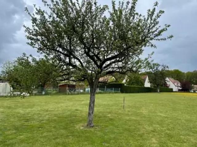 Achat maisons Wissous 7 pièces