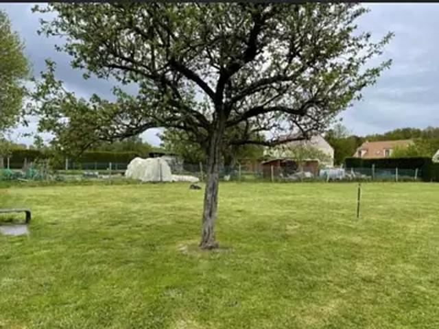 Achat maisons Wissous 7 pièces