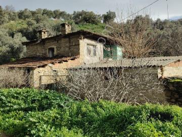Acil Satılık – Fırsatı Kaçırmayın! Aydın Yenipazar Alhan Mahallesi’nde Müstakil Köy Evi
