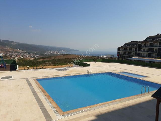 Re/max Lavanda Acil Yazlık Ve Yatırımlık Fırsat 3+1 130 M2 Havuzlu Sitede Daire
