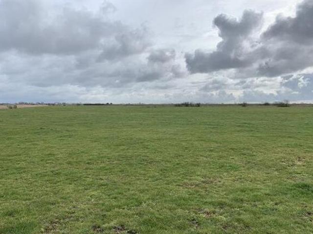 Acle New Road, Grazing Marshes, Great Yarmouth, Farm Land For