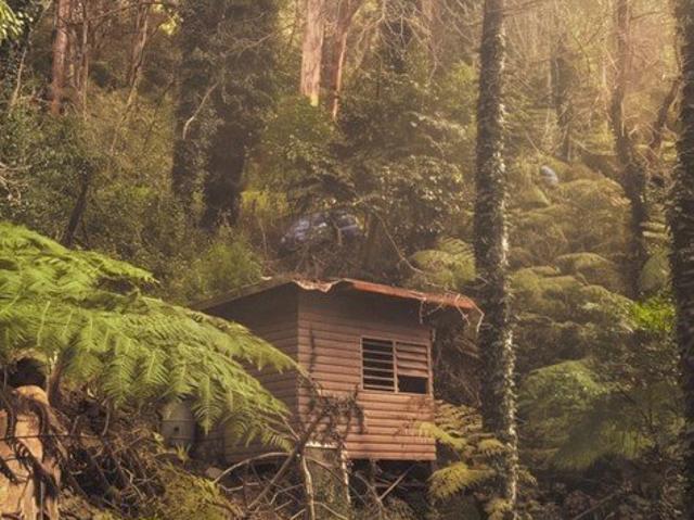 ¾ Acre of Private Bushland Ready for Your Vision