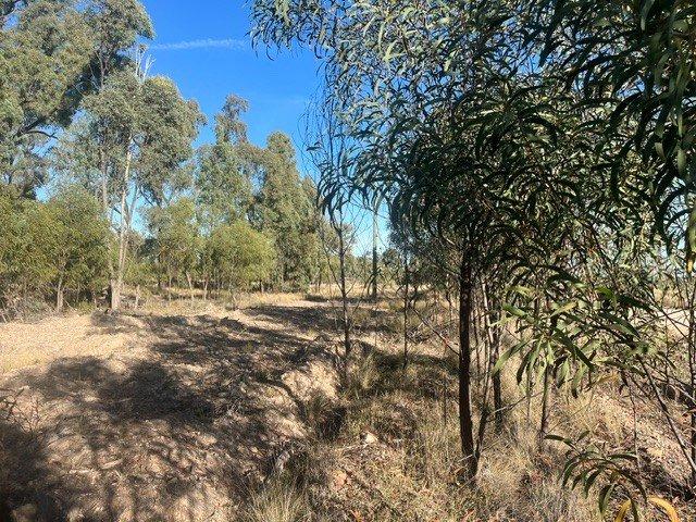 Acreage only 15 minutes from Tara