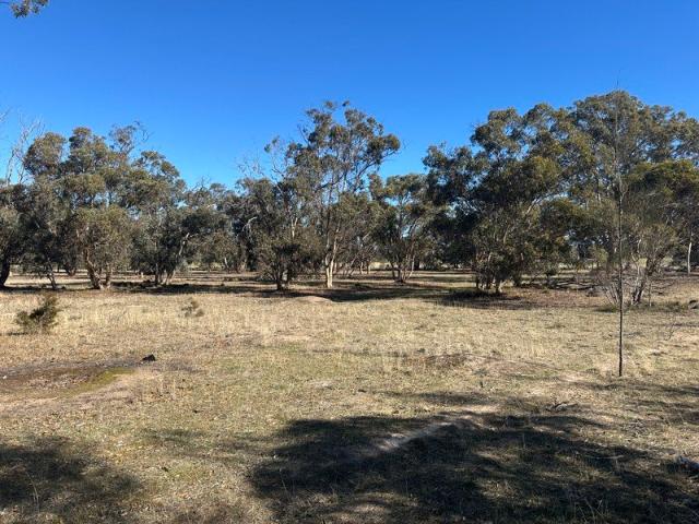 Acreage Opportunity Natural Beauty and Space