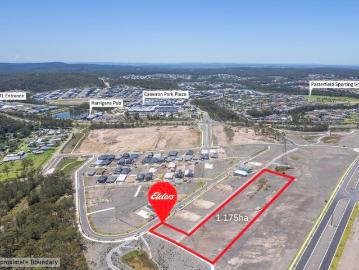 Acreage Opportunity in Cameron Grove Estate