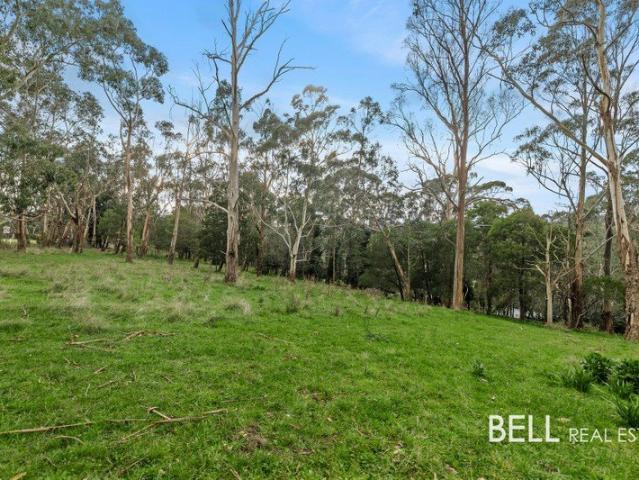 Acreage Opportunity with Mountain Views on 2 Titles