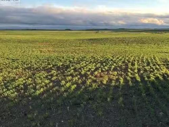 Acreage A Lovering Lakes, Craik Rm No. 222, SK, S0G 0R0 vaca.