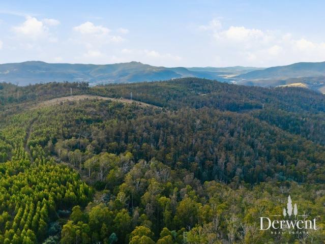 Acreage, Adventure & Opportunity Await