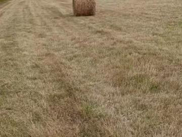 Acreage Cape Bear Road, White Sands, PE, C0A 1W0 vacant land.