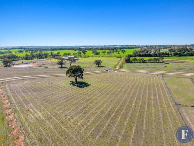 Acreage Dream!