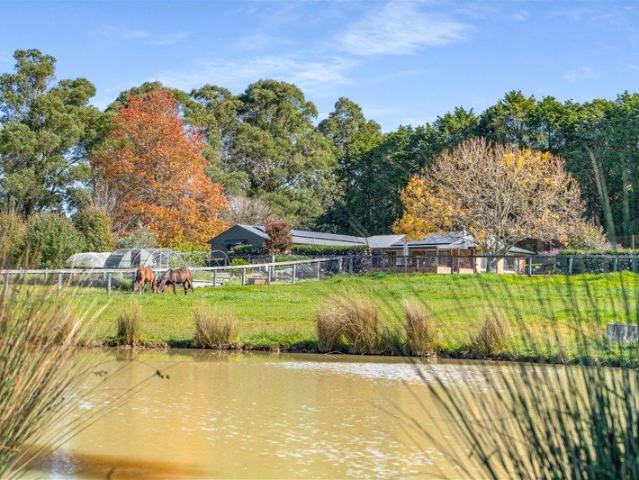Acreage Dreams Begin Here