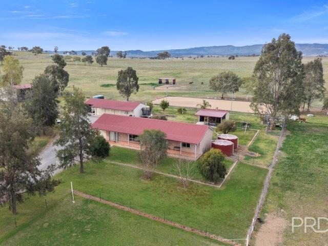 Acreage, Equine Excellence & Tamworth Convenience!