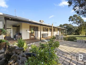 Daisy Hill, Central Goldfields - Garden