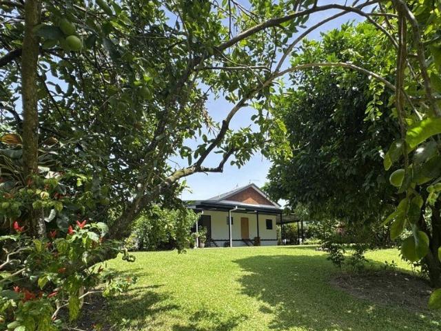 Acreage Home with Creek at the Rear!