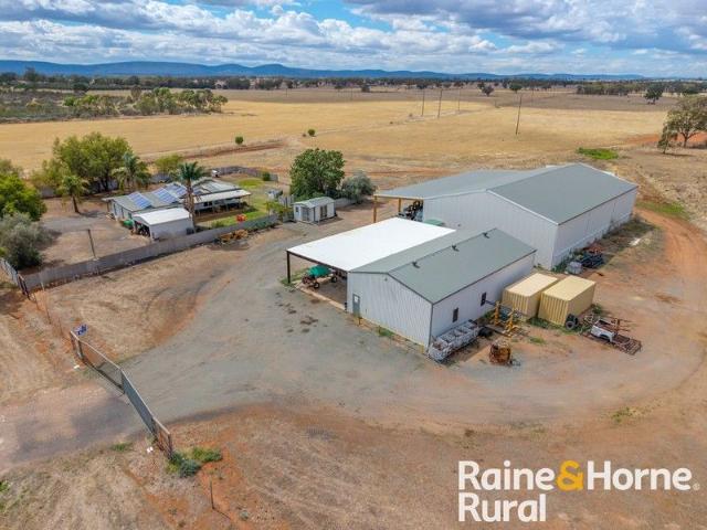 Acreage Living with Industrial Scale Shedding