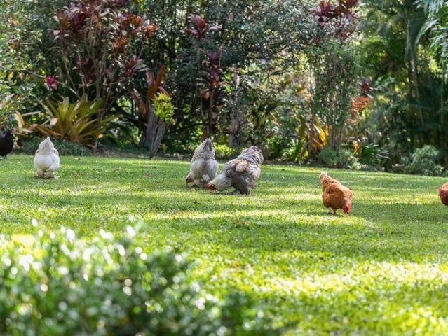 Acreage living minutes to Noosa