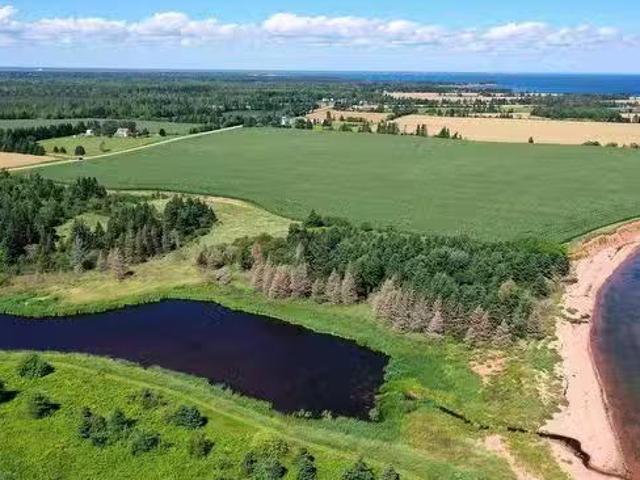 Acreage Rte 17, Murray Harbour North, PE, C0A 1R0 vacant lan.