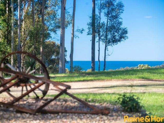 ACRES WITH VIEWS AND OPTIONS