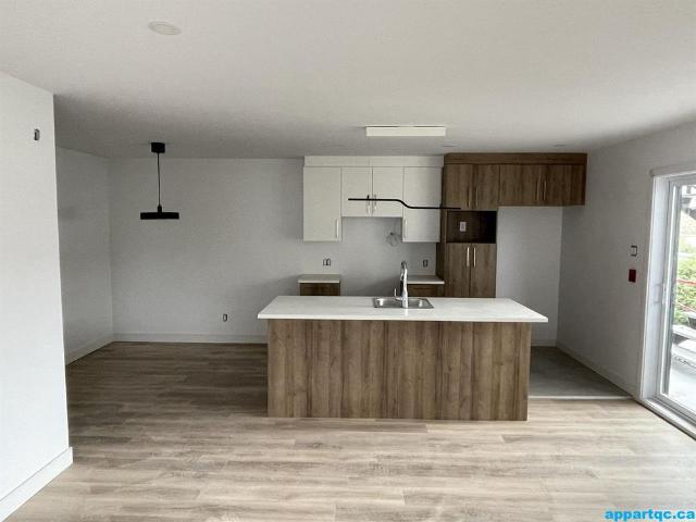 Acton Vale – Grands logements 5 1/2 récents à louer
