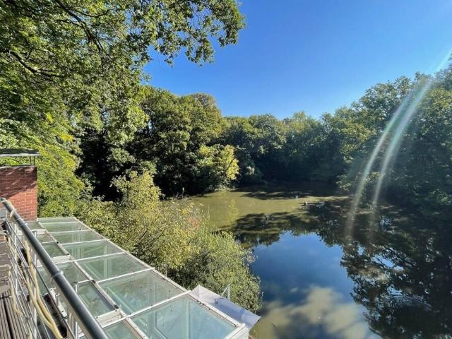 Aachen Ein besonderer Platz – Wohnen mit Blick ins Grüne und auf den See