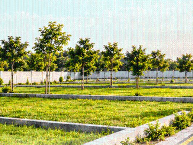 Aarvik Greens,Sector 6 Residential Plot For Sale Panchkula