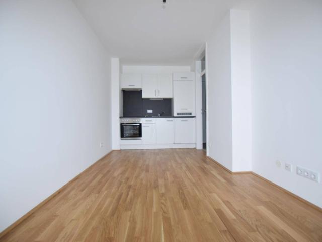 Ab 01.08. Brauquartier 2 Zimmer Balkon toller Ausblick