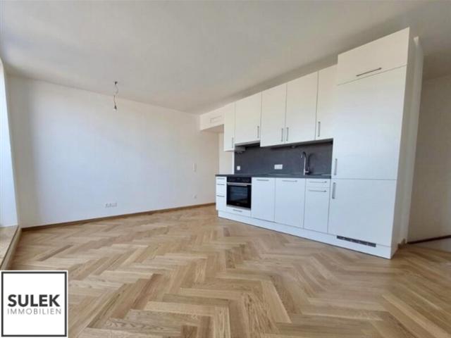Ab SOFORT Gut geschnittene 3 Zimmer Maisonette mit Terrasse DG Ausbau nahe Mariahilfer Str./Westbahnhof