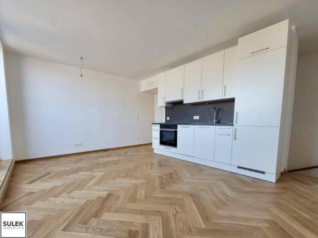 Ab SOFORT: Gut geschnittene 3 Zimmer Maisonette mit Terrasse DG Ausbau nahe Mariahilfer Str./Westbahnhof