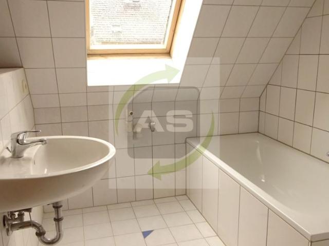 Ab ins neue Zuhause