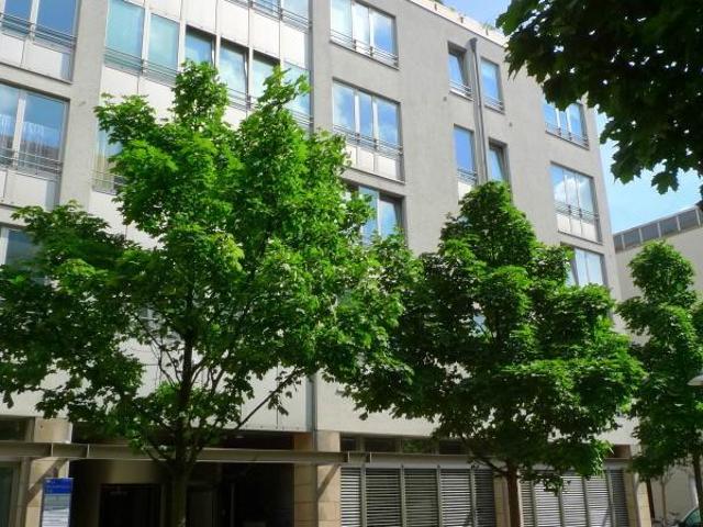 Ab Mitte September 2026: Singlewohnung im Waldschlösschenareal * Laminatboden wird noch neu verlegt