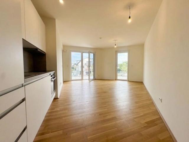AB SEPTEMBER:Neuwertige 2 Zimmer Wohnung mit Balkon – HIRSCHFELD