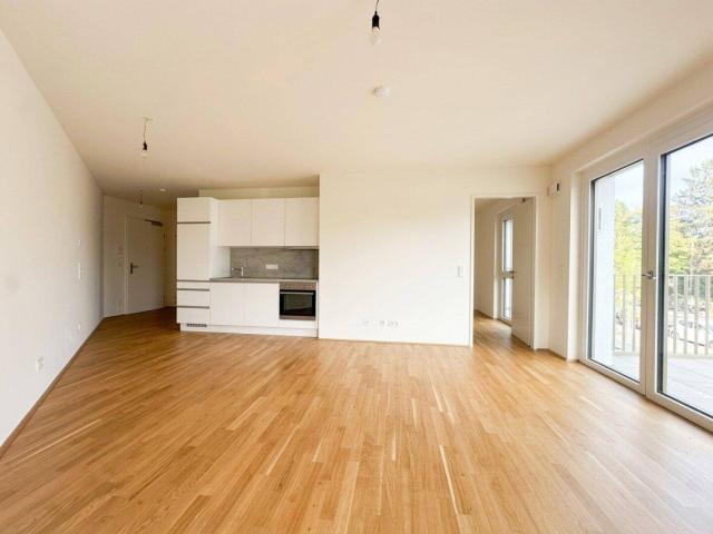 AB SEPTEMBER:Neuwertige 2 Zimmer Wohnung mit Balkon – HIRSCHFELD